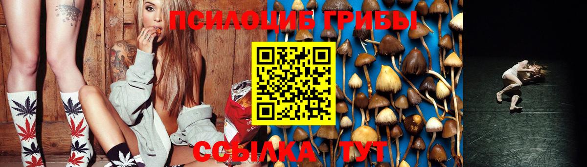 Псилоцибиновые грибы Psilocybine cubensis Ленинск-Кузнецкий